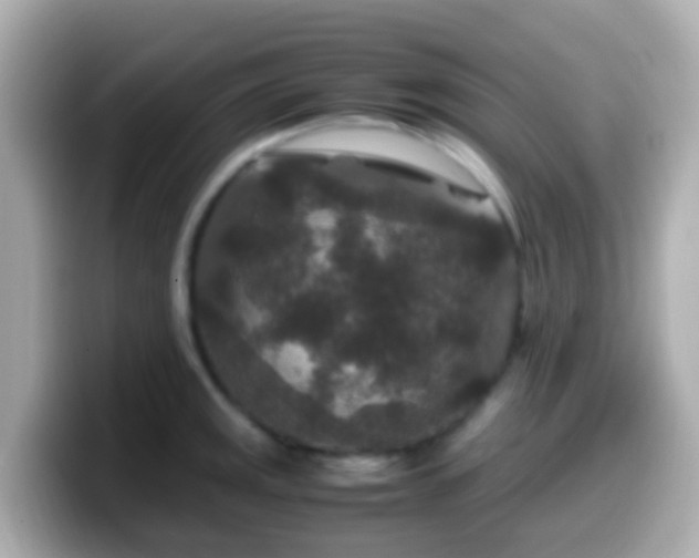 X0000099571141200805231526