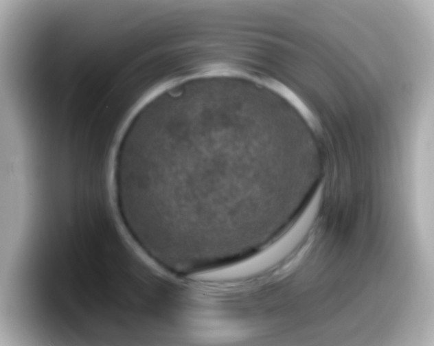 X0000099571142200805231526