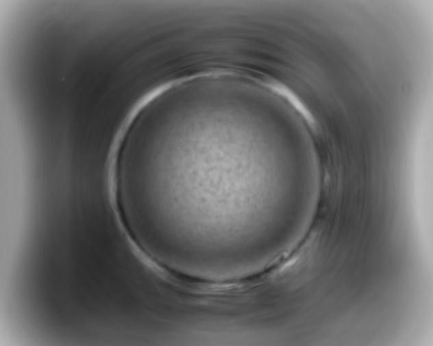 X0000099571143200805231526