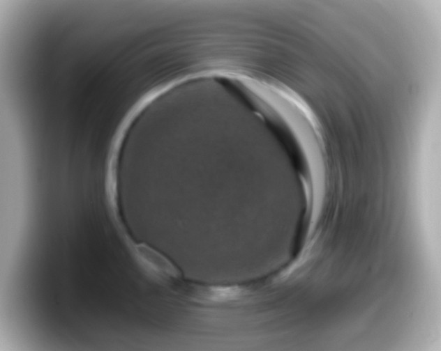 X0000099571144200805231526