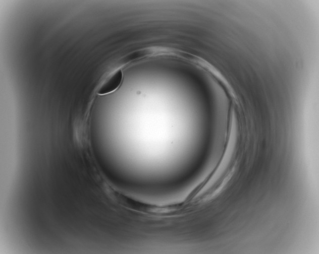 X0000099571145200805231526