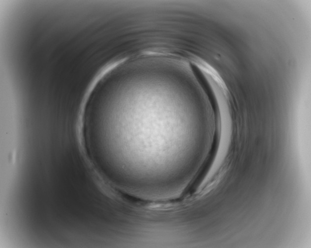 X0000099571146200805231526