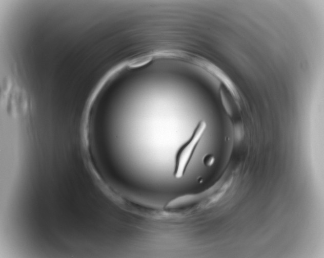 X0000099571148200805231526