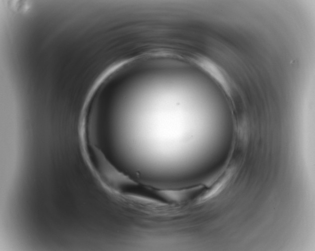 X0000099571149200805231526