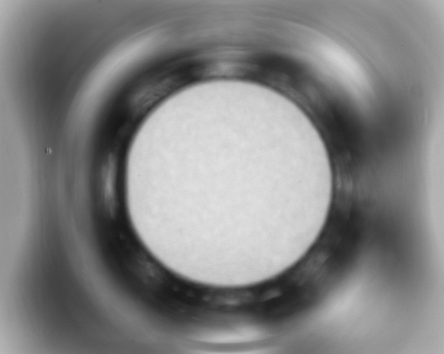 X0000099571150200805231526