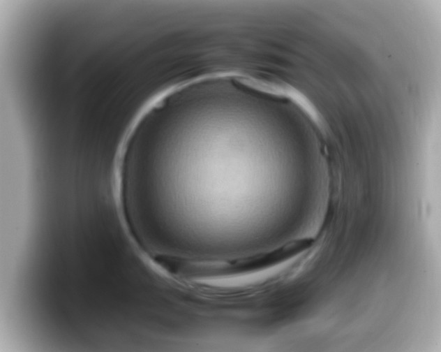 X0000099571151200805231526