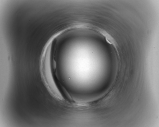 X0000099571152200805231526