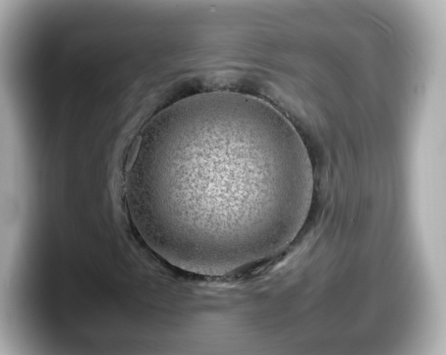 X0000099571153200805231526