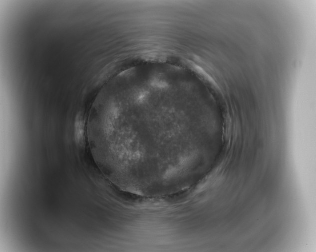 X0000099571154200805231526