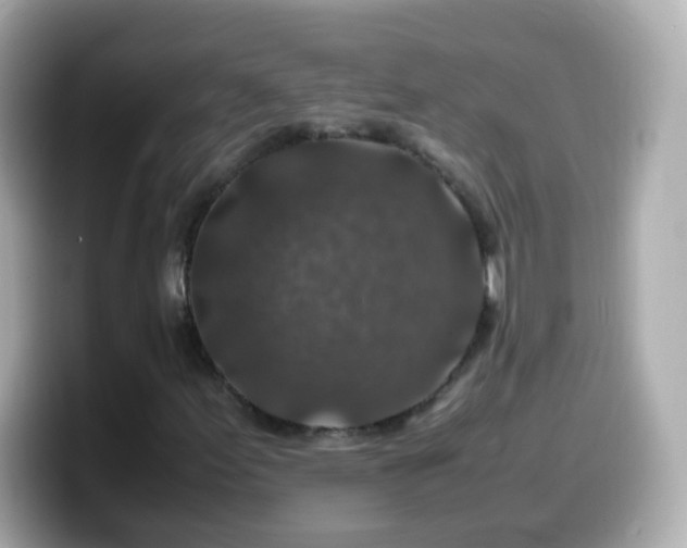 X0000099571155200805231526