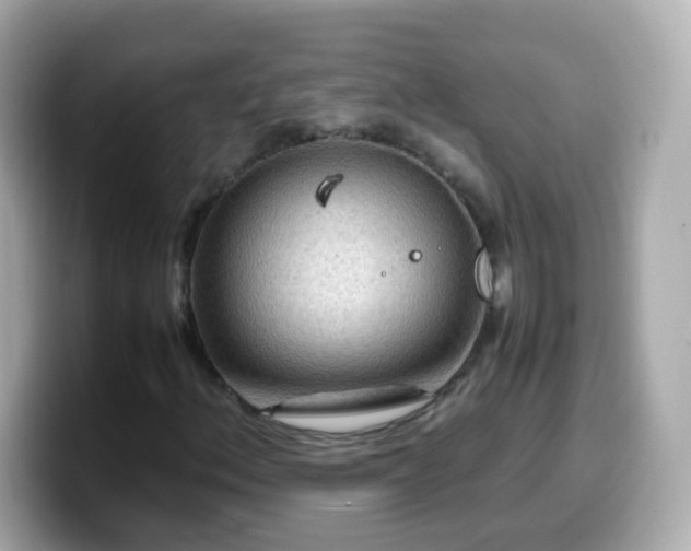 X0000099571156200805231526