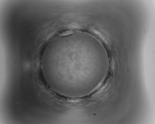 X0000099571157200805231526