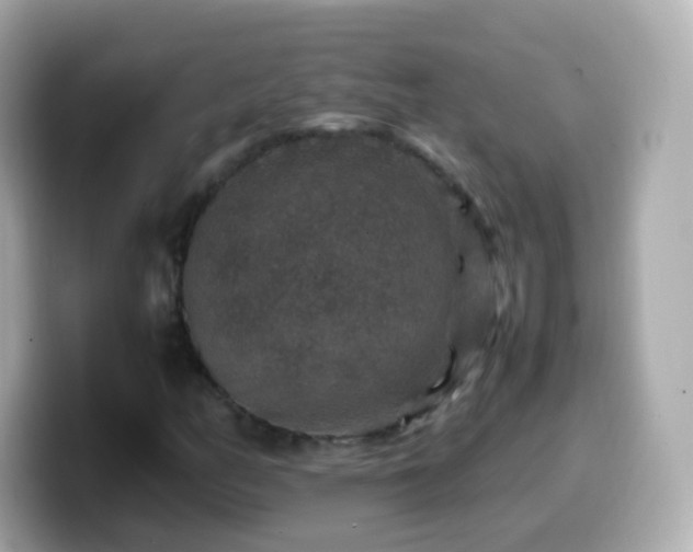 X0000099571158200805231526