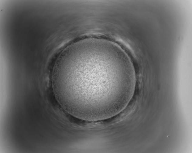 X0000099571159200805231526