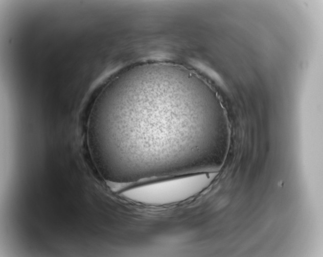 X0000099571160200805231526