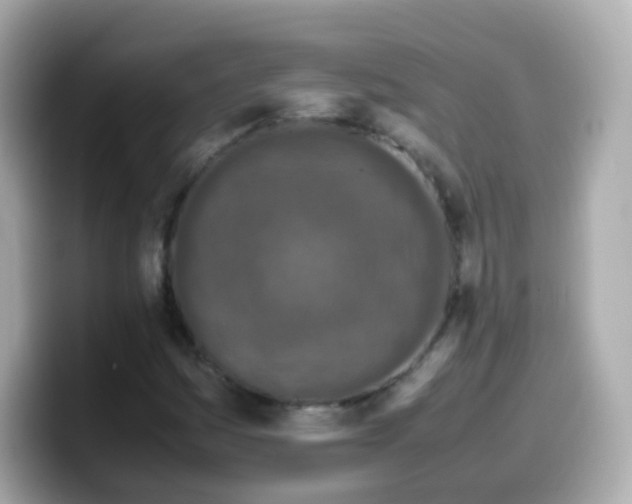 X0000099571161200805231526