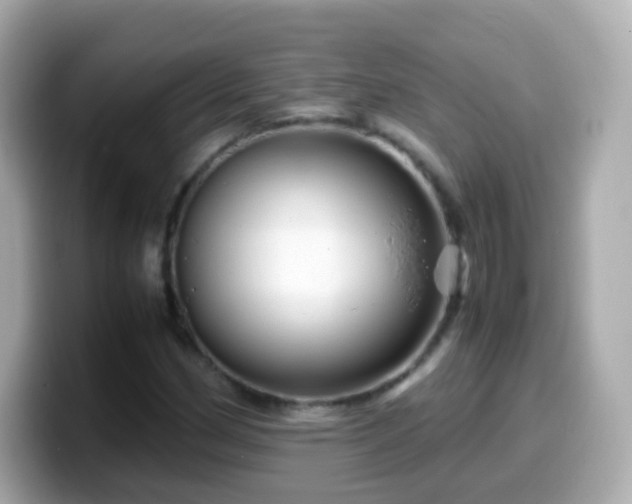 X0000099571162200805231526