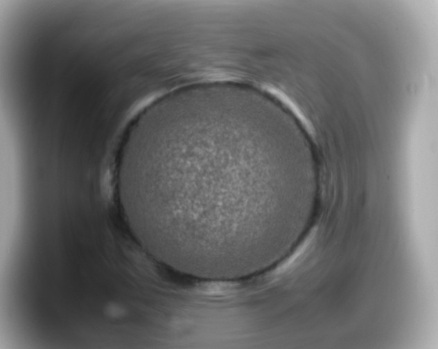 X0000099571163200805231526