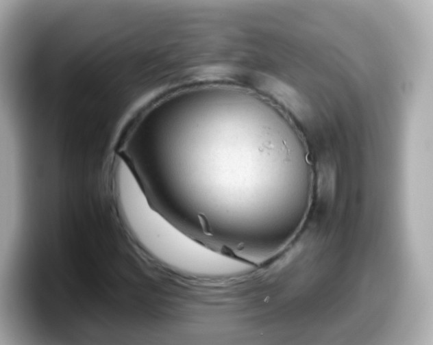 X0000099571164200805231526