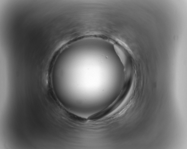 X0000099571165200805231526