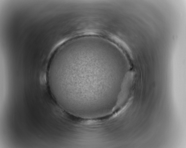 X0000099571166200805231526