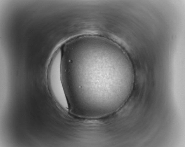 X0000099571168200805231526