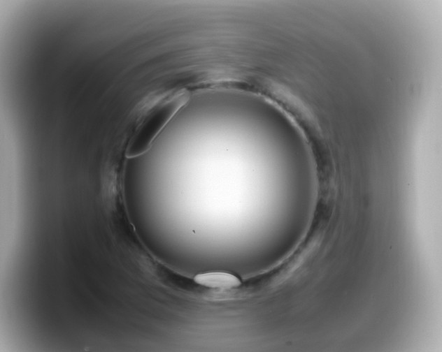 X0000099571169200805231526