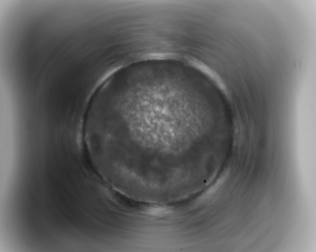 X0000099571170200805231526