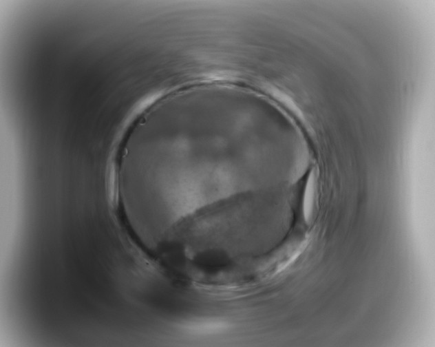 X0000099571171200805231526