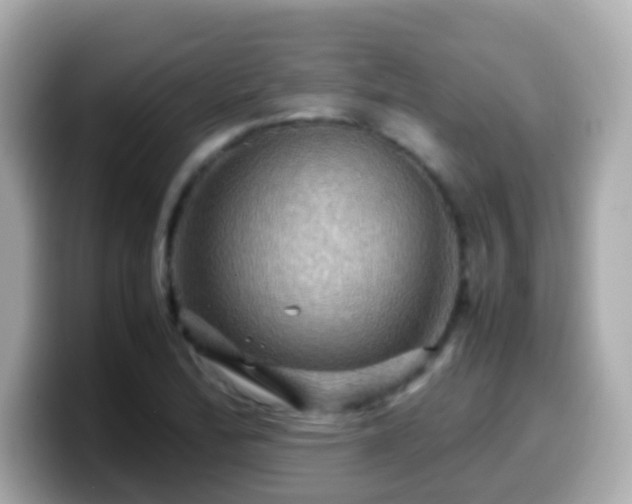 X0000099571172200805231526