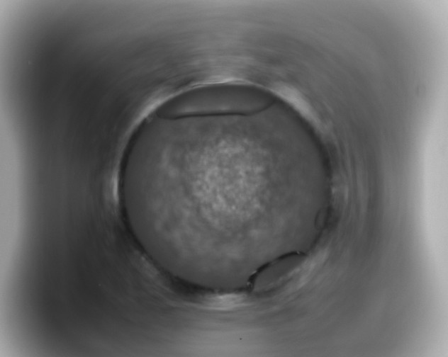 X0000099571173200805231526