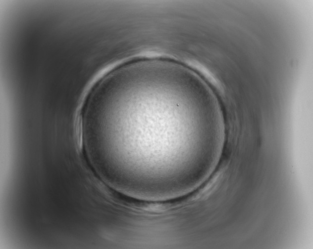 X0000099571175200805231526