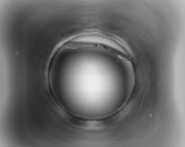 X0000099571176200805231526