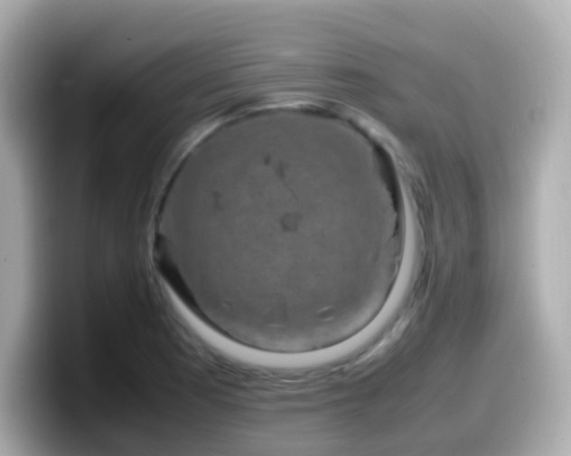 X0000099571177200805231526