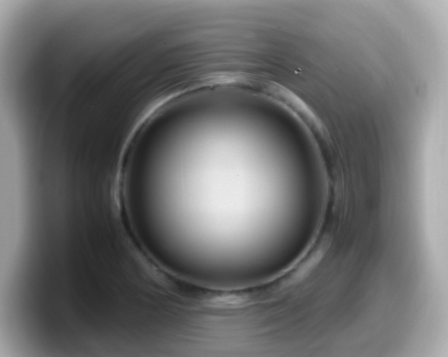 X0000099571178200805231526