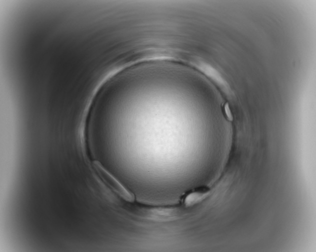 X0000099571181200805231526