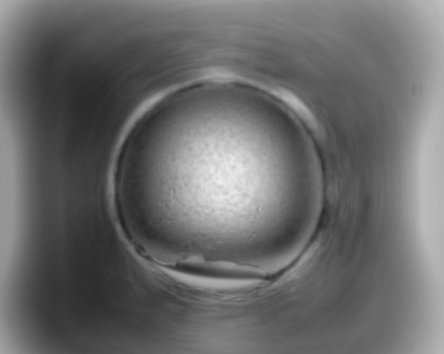 X0000099571183200805231526