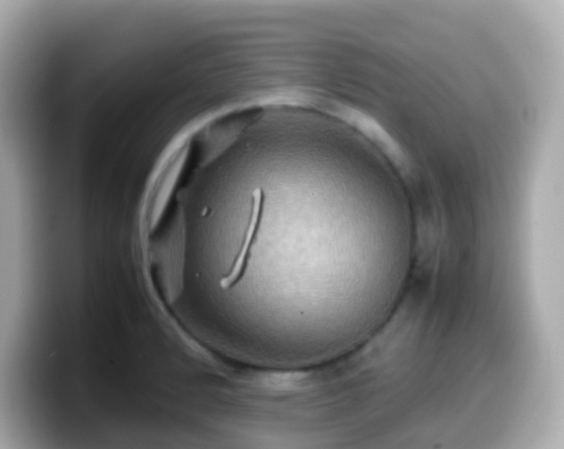 X0000099571184200805231526