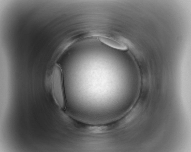 X0000099571185200805231525