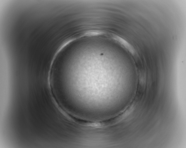 X0000099571186200805231525