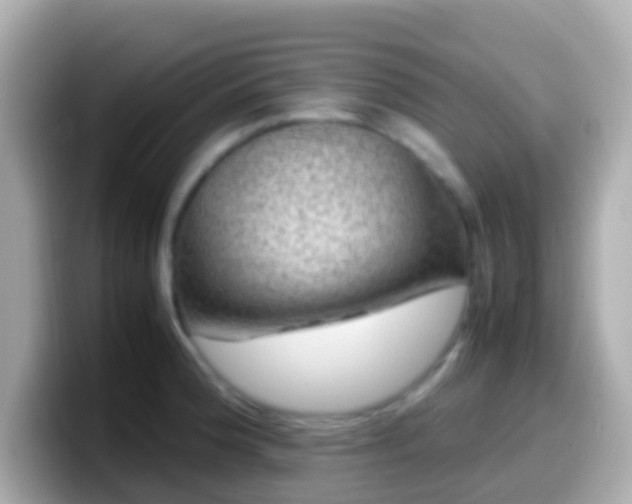 X0000099571188200805231525