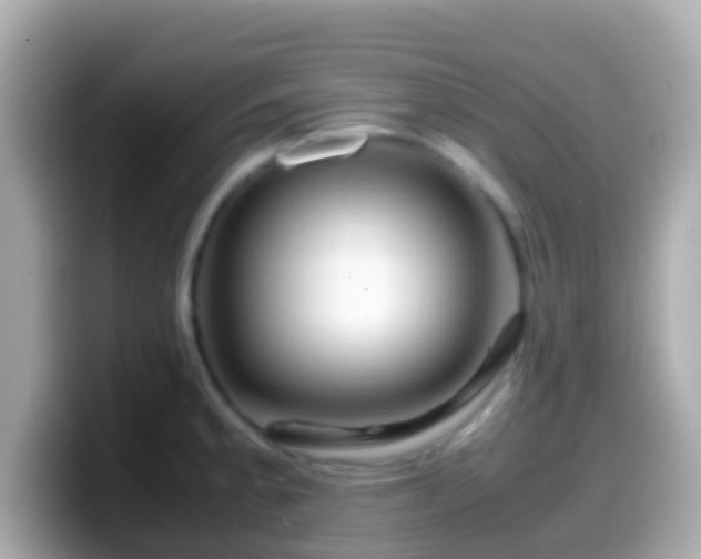 X0000099571189200805231525