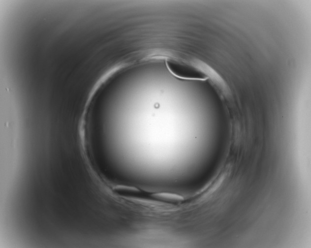 X0000099571190200805231525