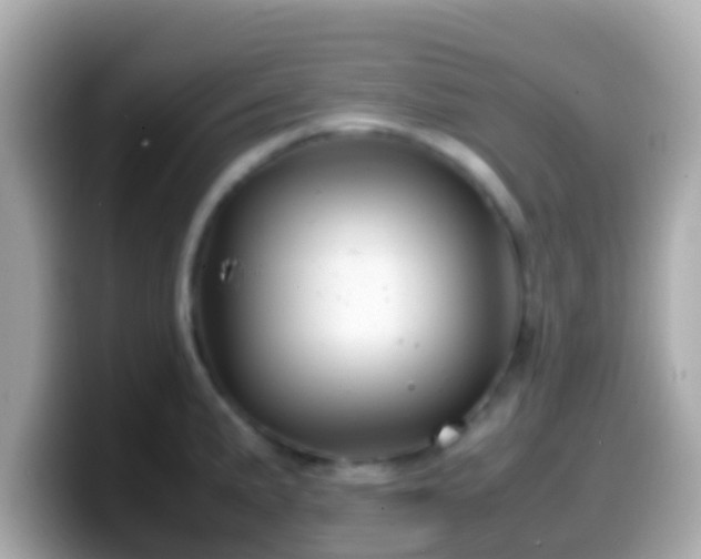 X0000099571191200805231525