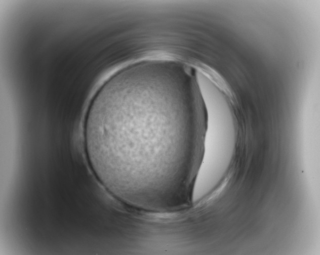 X0000099571192200805231525