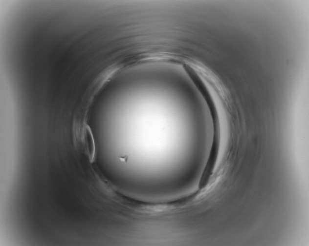 X0000099571193200805231525