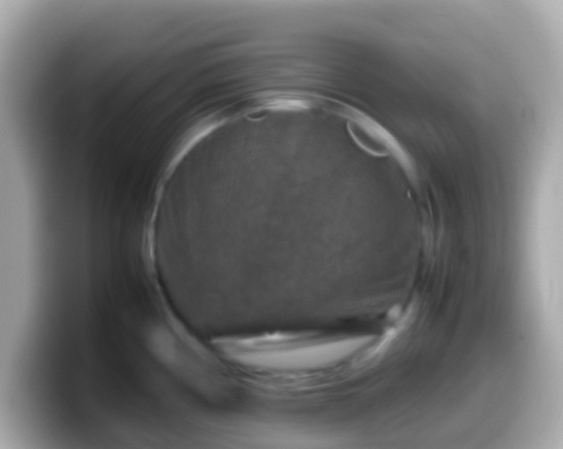 X0000099571194200805231525