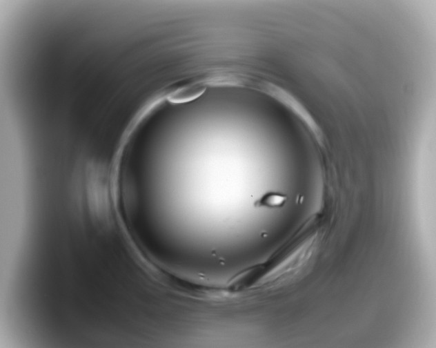 X0000099571195200805231525