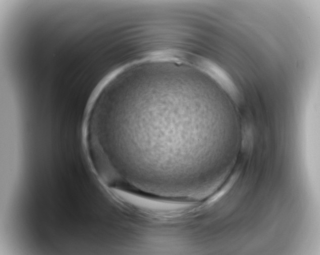 X0000099571196200805231525