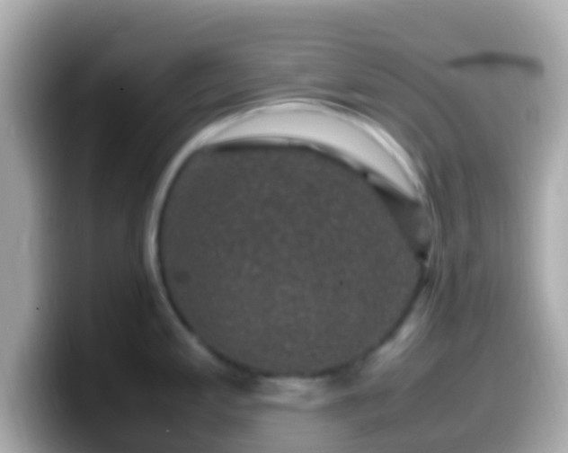 X0000099571197200805231525